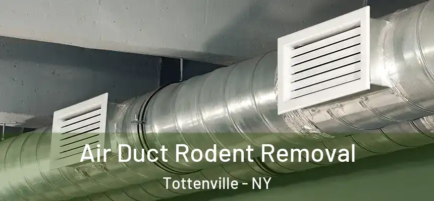  Air Duct Rodent Removal Tottenville - NY