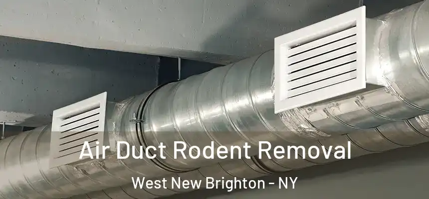 Air Duct Rodent Removal West New Brighton - NY