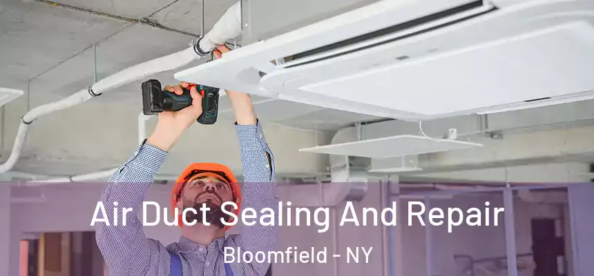 Air Duct Sealing And Repair Bloomfield - NY