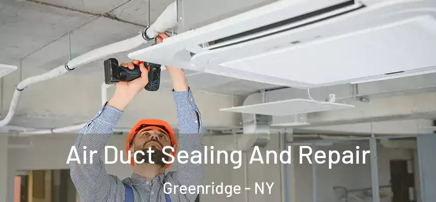  Air Duct Sealing And Repair Greenridge - NY