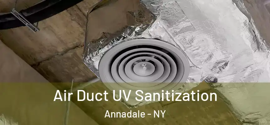 Air Duct UV Sanitization Annadale - NY