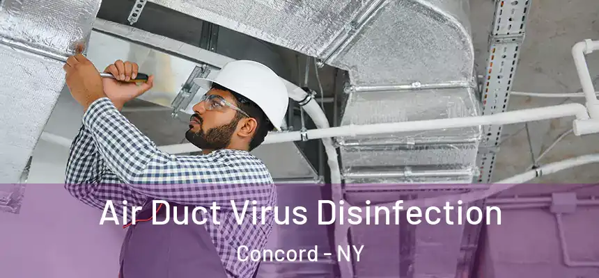 Air Duct Virus Disinfection Concord - NY