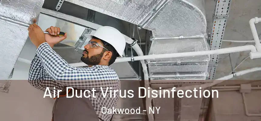 Air Duct Virus Disinfection Oakwood - NY