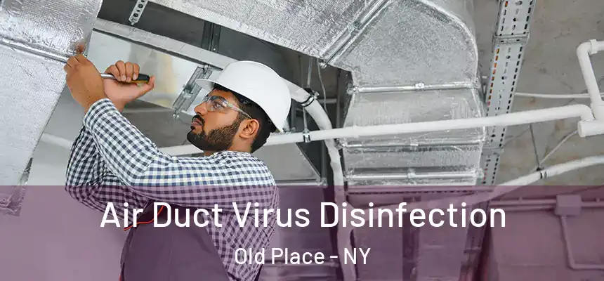  Air Duct Virus Disinfection Old Place - NY