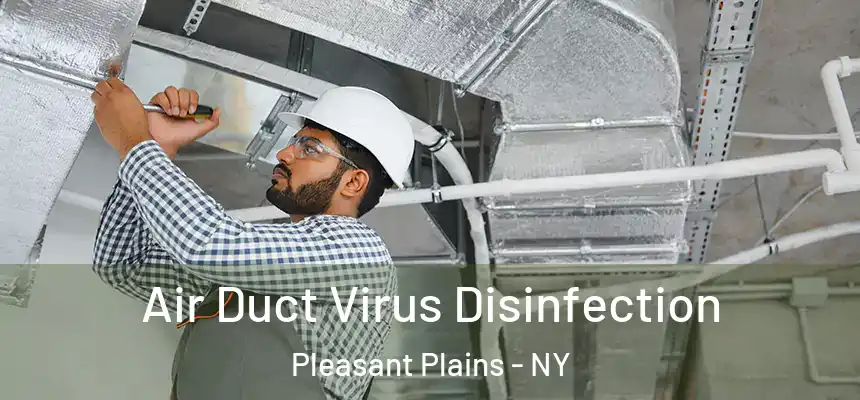  Air Duct Virus Disinfection Pleasant Plains - NY
