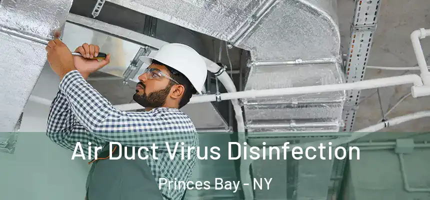  Air Duct Virus Disinfection Princes Bay - NY