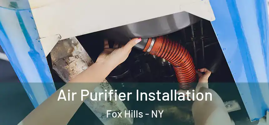  Air Purifier Installation Fox Hills - NY