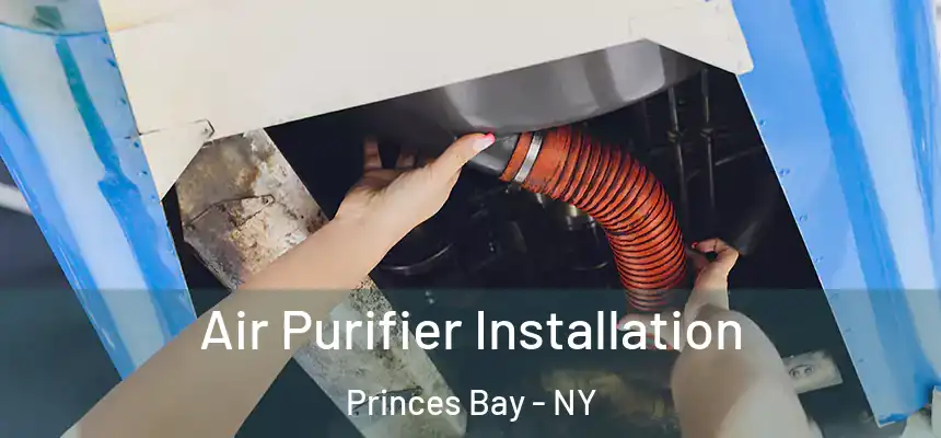  Air Purifier Installation Princes Bay - NY