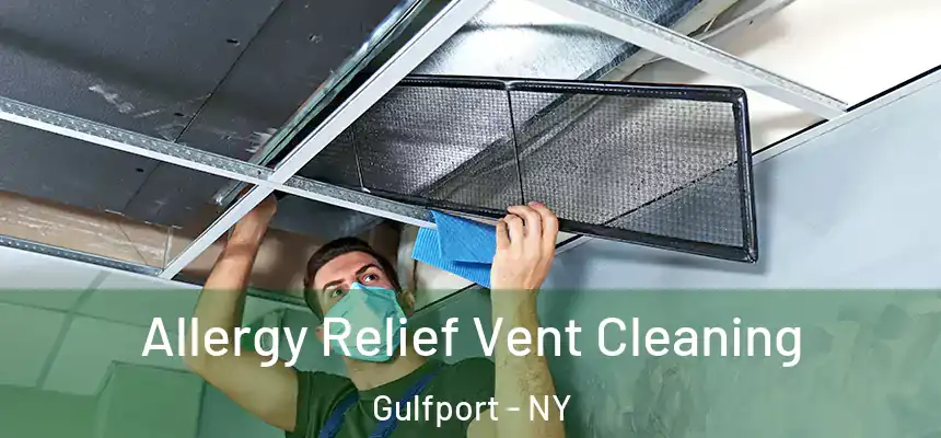Allergy Relief Vent Cleaning Gulfport - NY