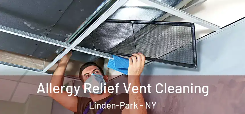 Allergy Relief Vent Cleaning Linden-Park - NY