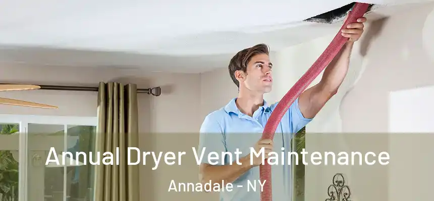 Annual Dryer Vent Maintenance Annadale - NY