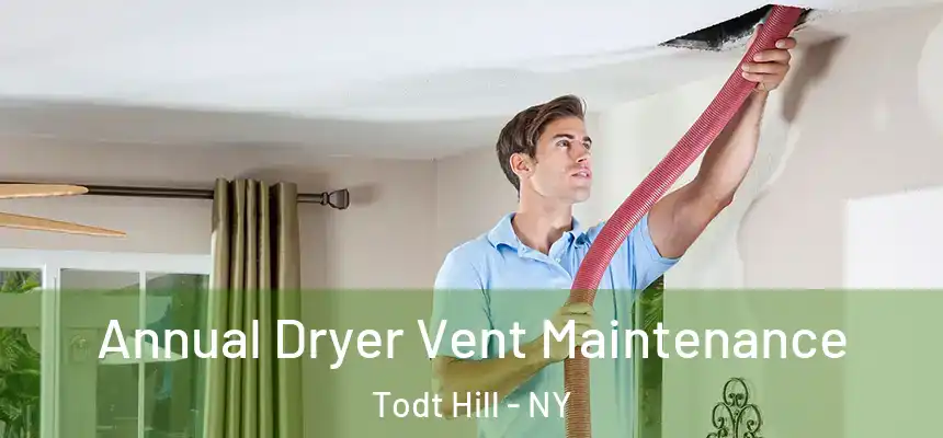 Annual Dryer Vent Maintenance Todt Hill - NY