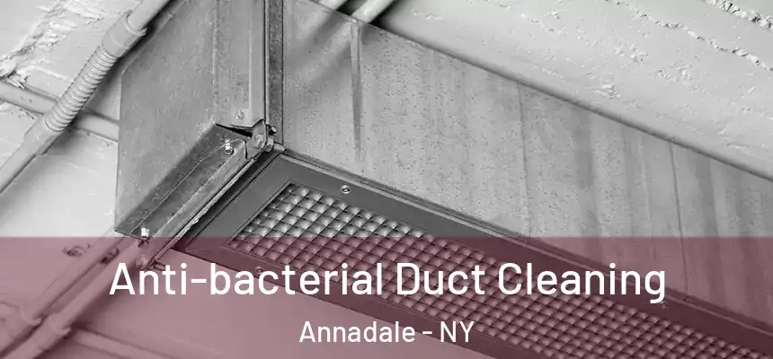 Anti-bacterial Duct Cleaning Annadale - NY