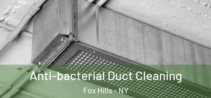 Anti-bacterial Duct Cleaning Fox Hills - NY
