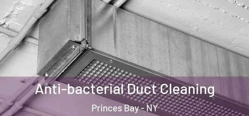 Anti-bacterial Duct Cleaning Princes Bay - NY