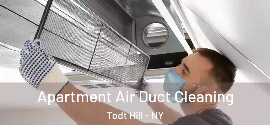 Apartment Air Duct Cleaning Todt Hill - NY