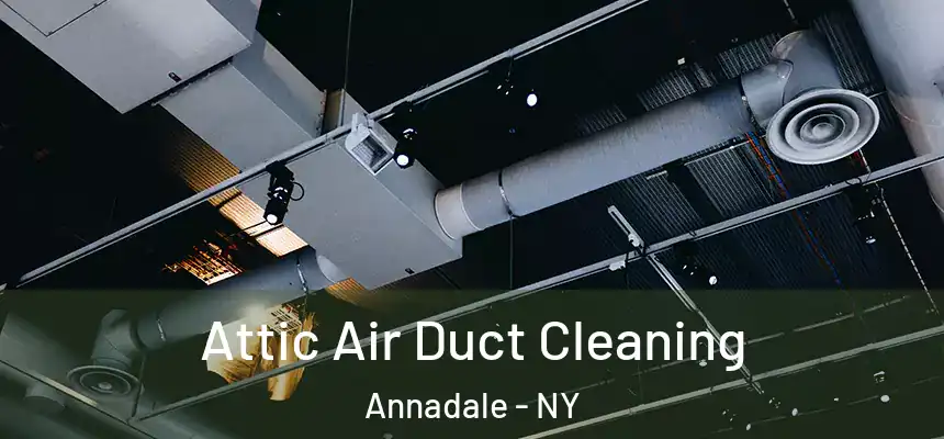  Attic Air Duct Cleaning Annadale - NY
