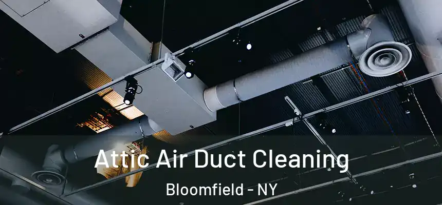  Attic Air Duct Cleaning Bloomfield - NY