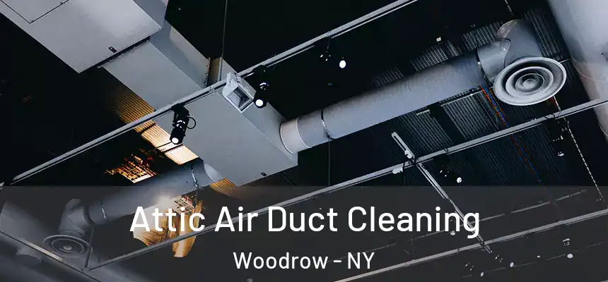 Attic Air Duct Cleaning Woodrow - NY