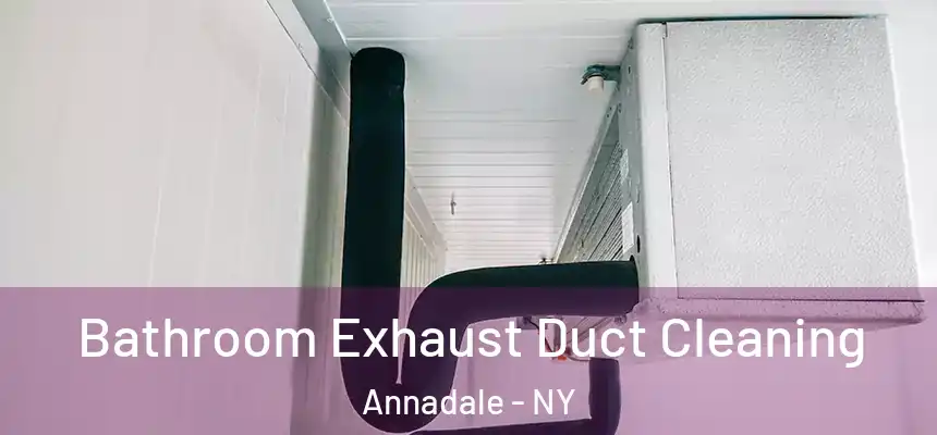  Bathroom Exhaust Duct Cleaning Annadale - NY