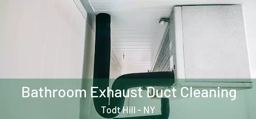  Bathroom Exhaust Duct Cleaning Todt Hill - NY