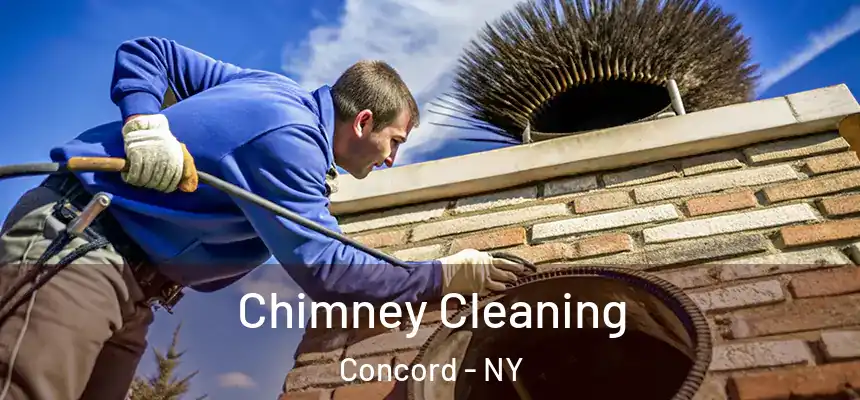 Chimney Cleaning Concord - NY