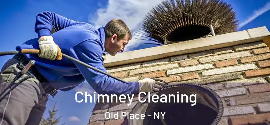 Chimney Cleaning Old Place - NY