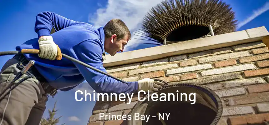  Chimney Cleaning Princes Bay - NY