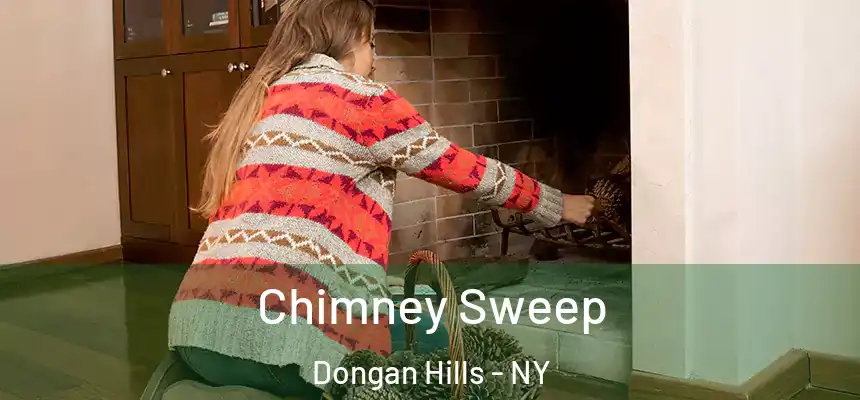 Chimney Sweep Dongan Hills - NY