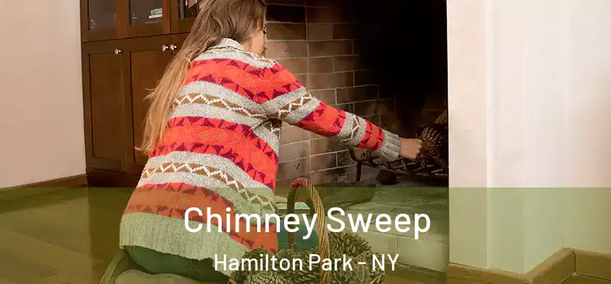 Chimney Sweep Hamilton Park - NY