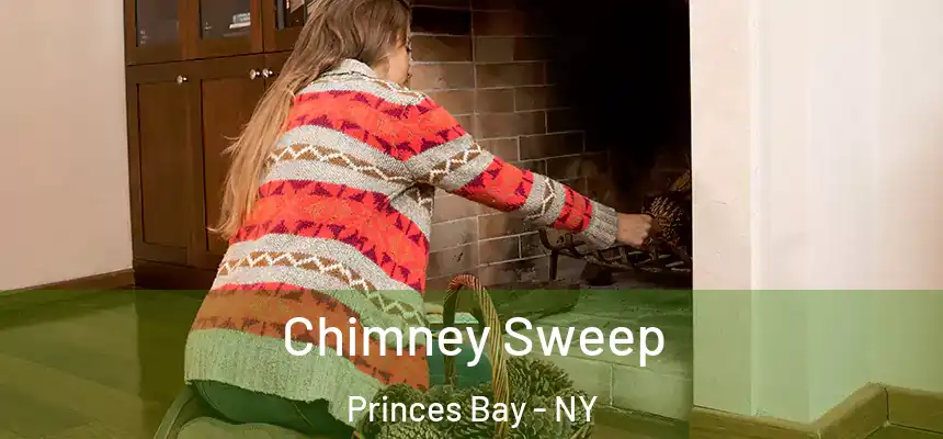  Chimney Sweep Princes Bay - NY
