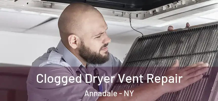 Clogged Dryer Vent Repair Annadale - NY