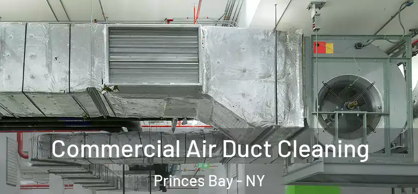  Commercial Air Duct Cleaning Princes Bay - NY
