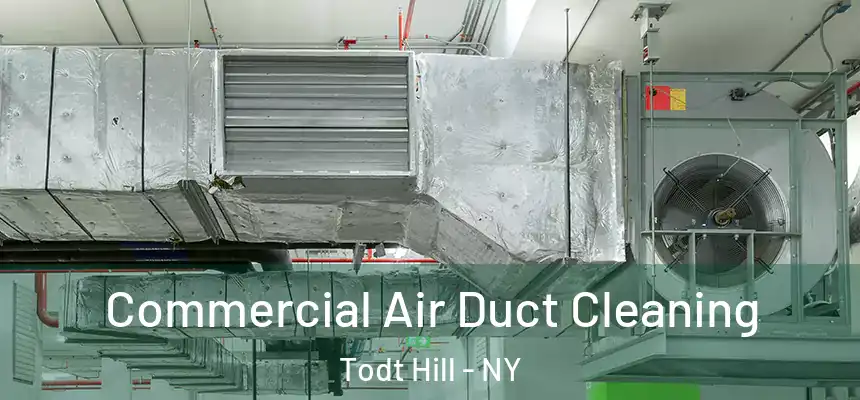  Commercial Air Duct Cleaning Todt Hill - NY