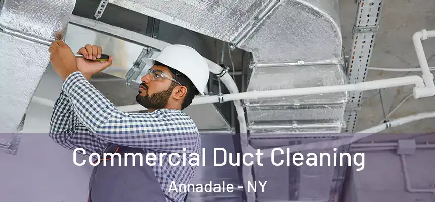  Commercial Duct Cleaning Annadale - NY