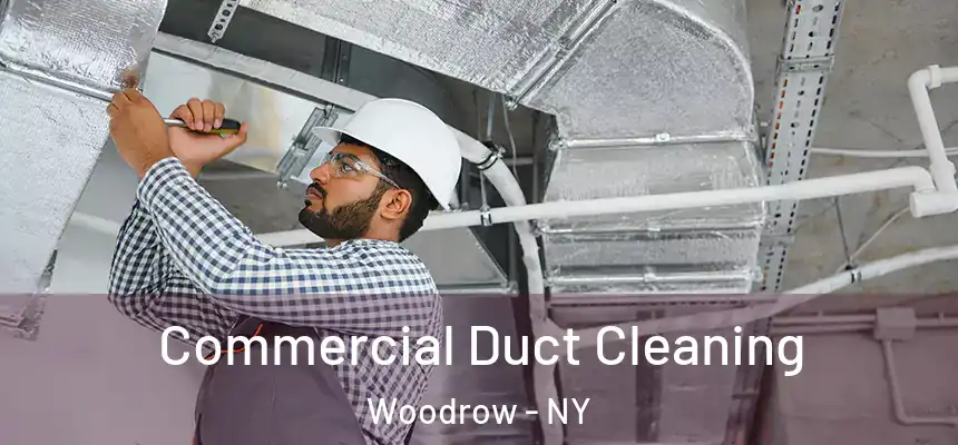 Commercial Duct Cleaning Woodrow - NY