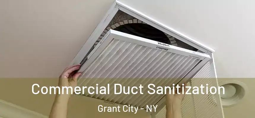  Commercial Duct Sanitization Grant City - NY