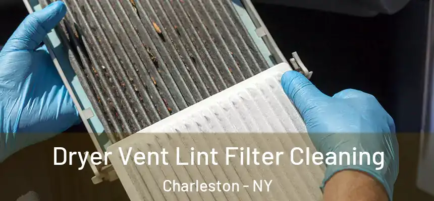 Dryer Vent Lint Filter Cleaning Charleston - NY