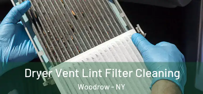 Dryer Vent Lint Filter Cleaning Woodrow - NY