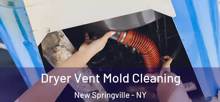 Dryer Vent Mold Cleaning New Springville - NY