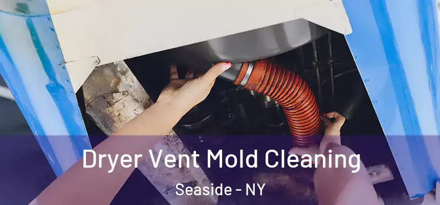 Dryer Vent Mold Cleaning Seaside - NY