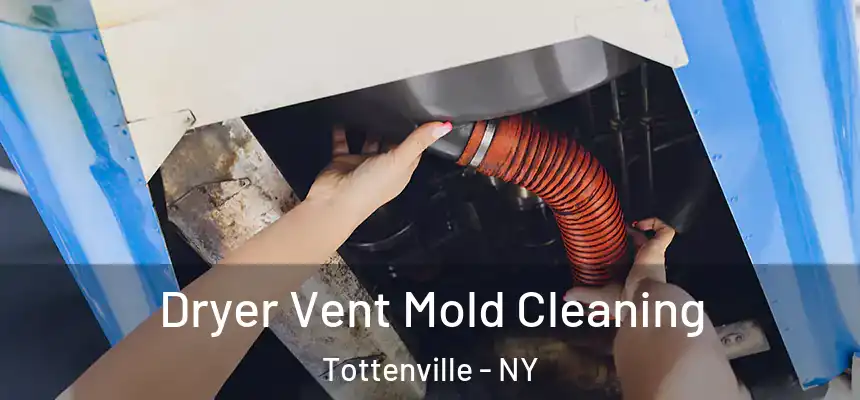 Dryer Vent Mold Cleaning Tottenville - NY