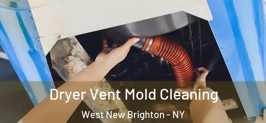Dryer Vent Mold Cleaning West New Brighton - NY