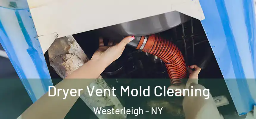  Dryer Vent Mold Cleaning Westerleigh - NY