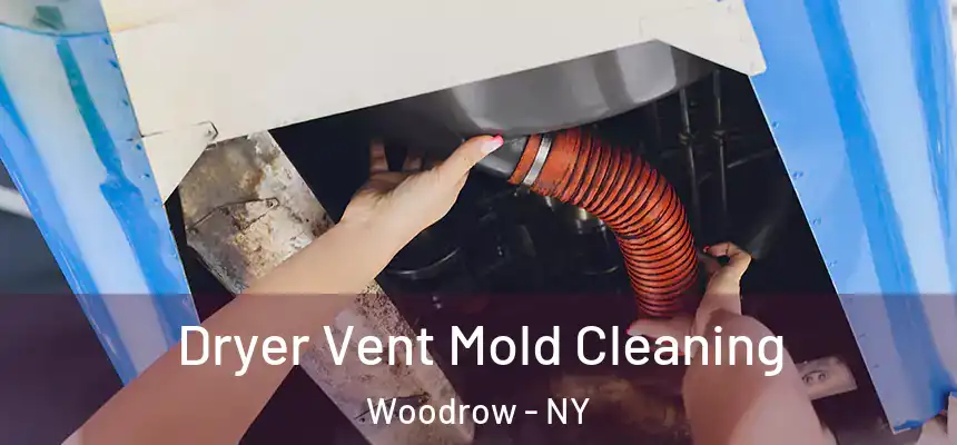 Dryer Vent Mold Cleaning Woodrow - NY