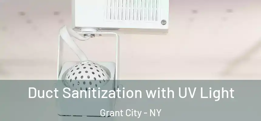  Duct Sanitization with UV Light Grant City - NY