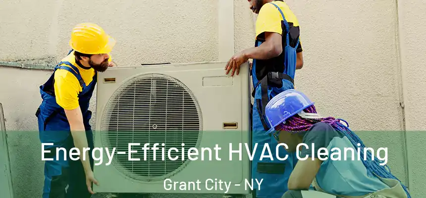 Energy-Efficient HVAC Cleaning Grant City - NY