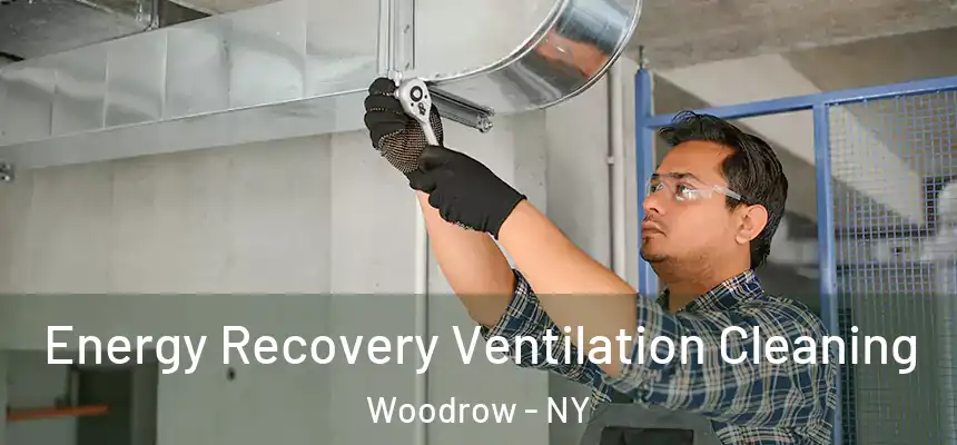  Energy Recovery Ventilation Cleaning Woodrow - NY