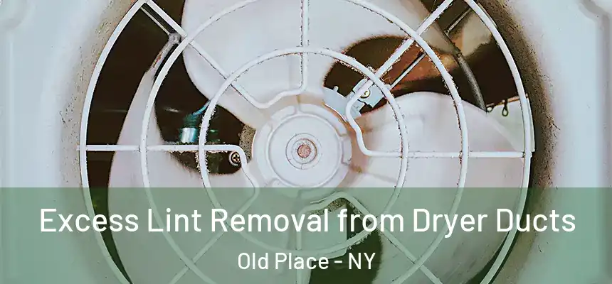  Excess Lint Removal from Dryer Ducts Old Place - NY