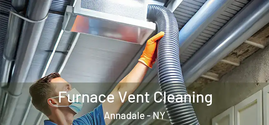  Furnace Vent Cleaning Annadale - NY